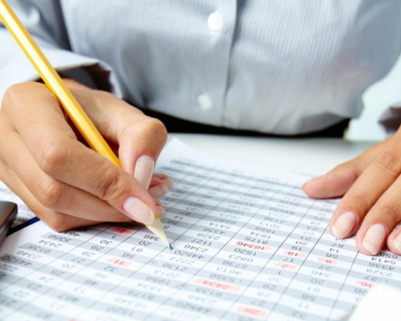 Revisoria Fiscal y Auditoria