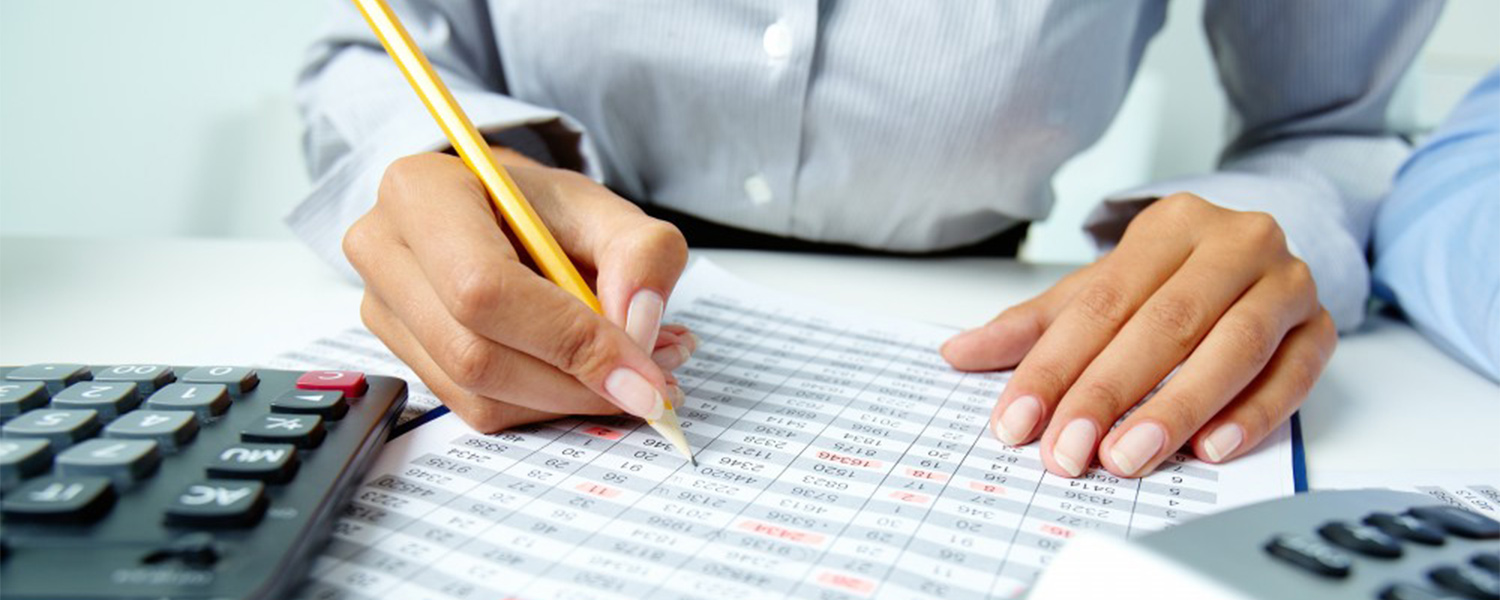 Revisoria Fiscal y Auditoria
